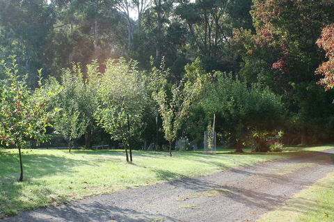 Strathmore Farm B&B - Tourism Canberra 33
