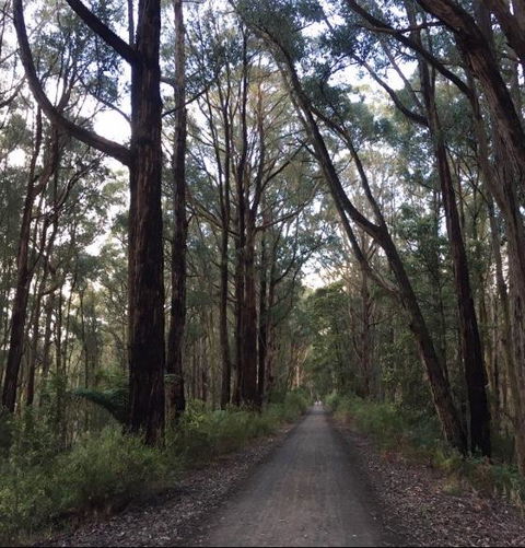 Strathmore Farm B&B - Tourism Canberra 4