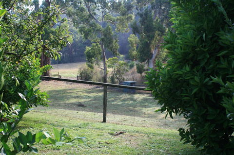 Strathmore Farm B&B - Tourism Canberra 30