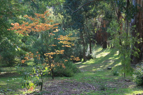 Strathmore Farm B&B - Tourism Canberra 25