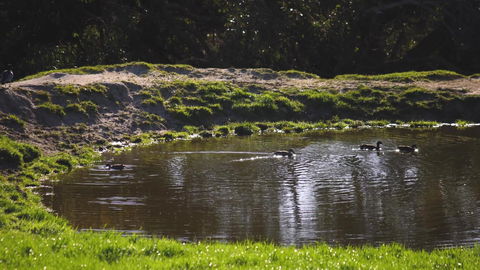 Limosa Rise - Tourism Canberra 15