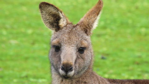Limosa Rise - Tourism Canberra 16