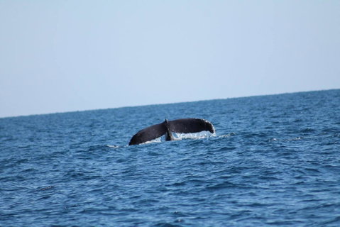 The Cove Holiday Village - Tourism Canberra 1