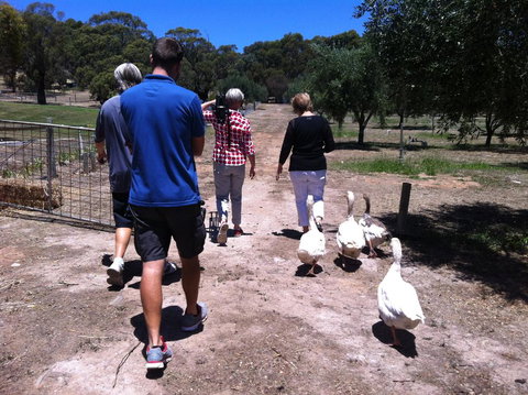 The Farm Willunga - Tourism Canberra 1