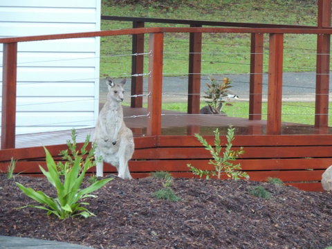 The Pouch B & B - Tourism Canberra 1
