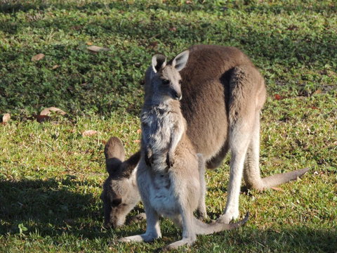 The Pouch B & B - Tourism Canberra 2