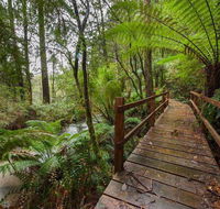 The Source Otways - Tourism Canberra