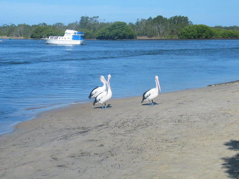 The Ultimate Holiday Retreat - Tourism Canberra 1
