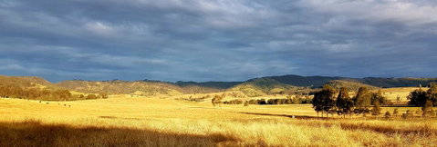The Wattle Lodge - Tourism Canberra 1