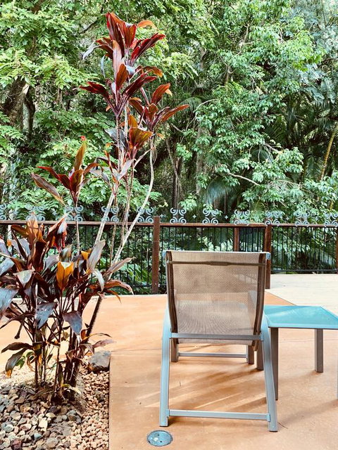 Tranquil Setting In Buderim - Tourism Canberra 3