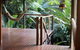 Treetops Retreat Cairns - thumb 1