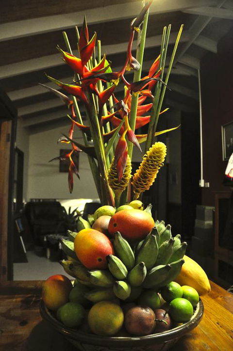 Tropical Bliss Bed And Breakfast - Tourism Canberra 3