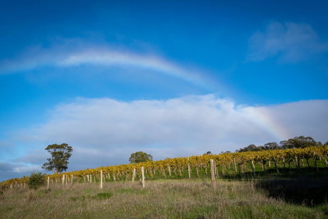 Triple Creek Guest House - Barossa Region - Tourism Canberra 2