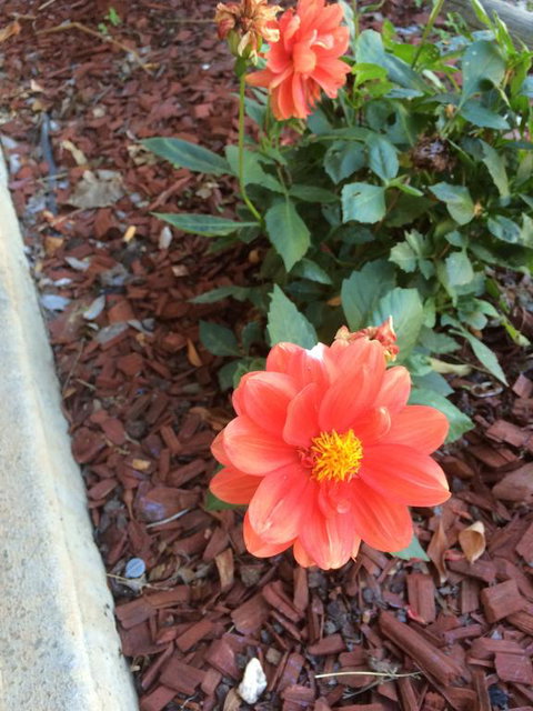 Tumut Valley Motel - Tourism Canberra 1