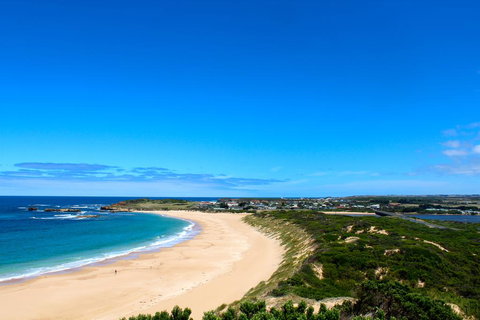 Twelve Apostles Beach House B&B - Tourism Canberra 1