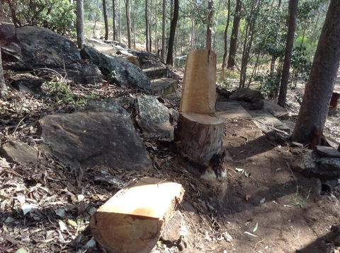 Twilight Grove Farm - Tourism Canberra 3