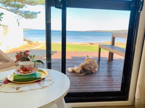 Vandy's Shack At Mount Dutton Bay - Ideal For Couples And Small Families - Tourism Canberra 3