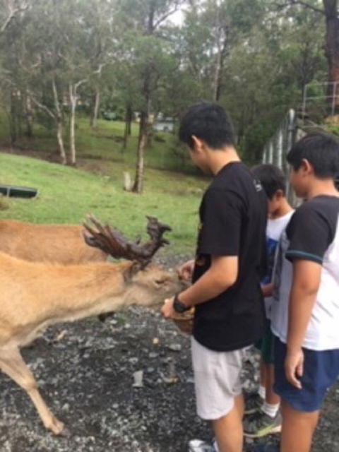 Villa Cervi Property - Tourism Canberra 3