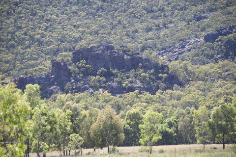 Gumnut Villa - Tourism Canberra 0