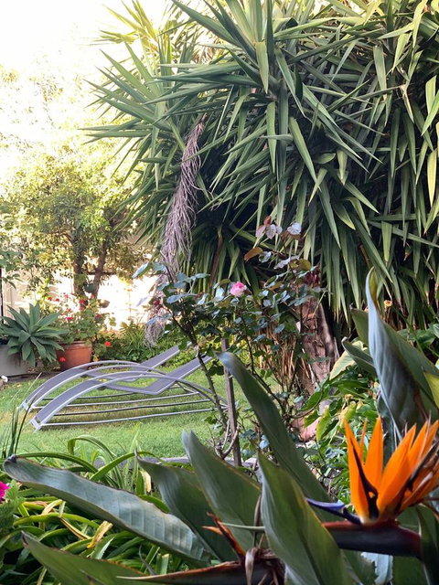 Sunryes Beach House - Tourism Canberra 32