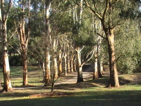 Kangaroo Manor - Tourism Canberra 21