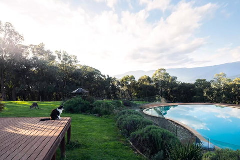 Kangaroo Manor - Tourism Canberra 23