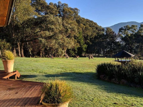 Kangaroo Manor - Tourism Canberra 5