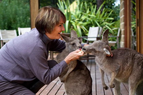 Kangaroo Manor - Tourism Canberra 20