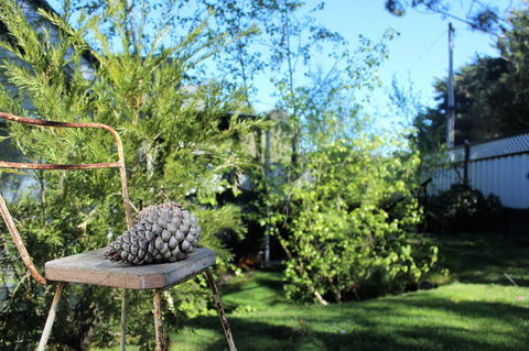 Cottage 4A - Tourism Canberra 13