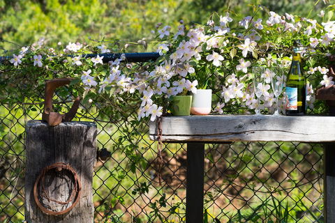 Cottage 4A - Tourism Canberra 4