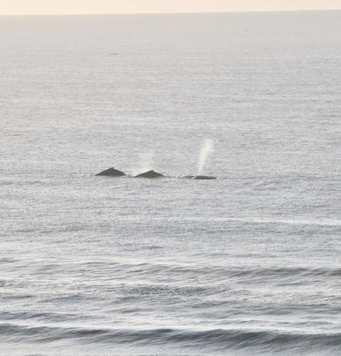 Beach Break - Tourism Canberra 16