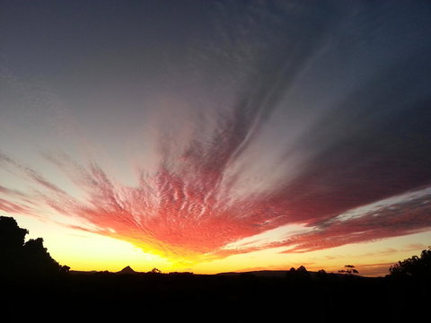 Ivory Palms Resort Noosa - Tourism Canberra 13