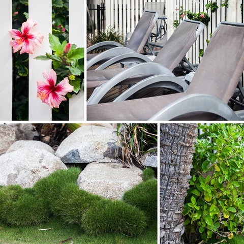 Coolum Caprice - Tourism Canberra 22