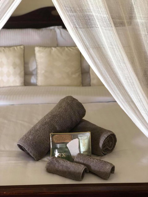 The Bearded Dragon Boutique Hotel - Tourism Canberra 4