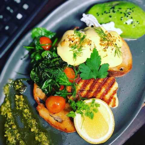 The Bearded Dragon Boutique Hotel - Tourism Canberra 15