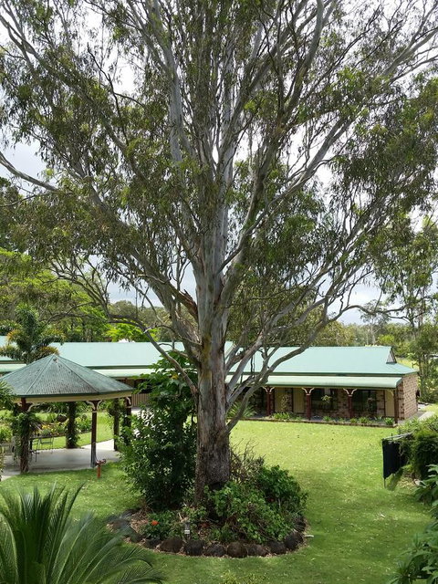 The Bearded Dragon Boutique Hotel - Tourism Canberra 32