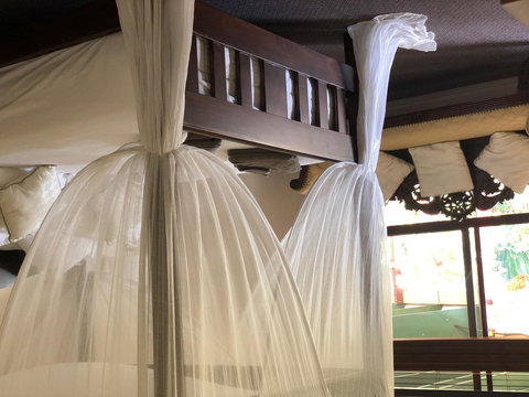 The Bearded Dragon Boutique Hotel - Tourism Canberra 2