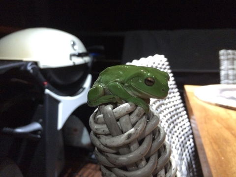 Bed & Breakfast 1 Bedroom Guest House - Tourism Canberra 43