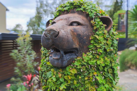 Bed & Breakfast 1 Bedroom Guest House - Tourism Canberra 44