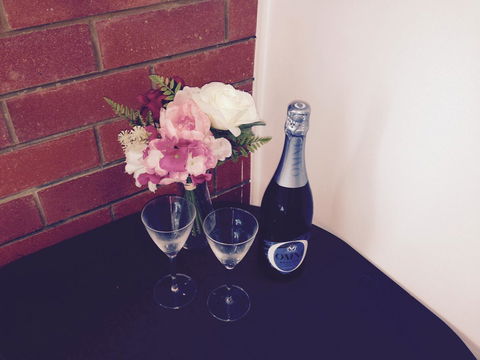 XYL Pets Friendly Seaside Boutique Guesthouse - Tourism Canberra 26