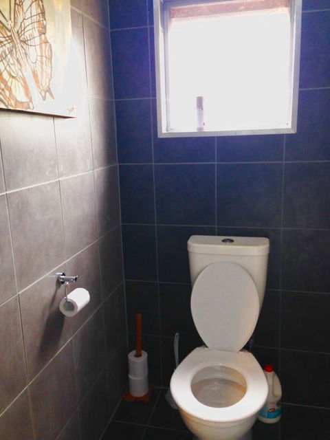 XYL Pets Friendly Seaside Boutique Guesthouse - Tourism Canberra 5