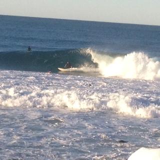 Oceania On Burleigh Beach - Tourism Canberra 27