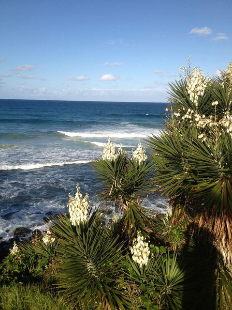 Oceania On Burleigh Beach - Tourism Canberra 23