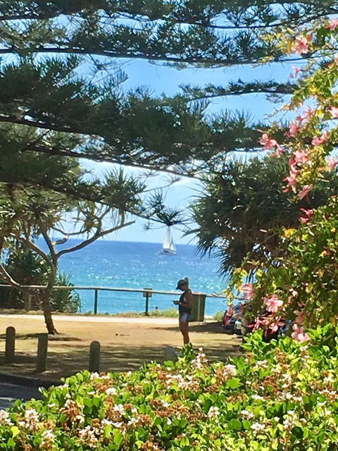 Oceania On Burleigh Beach - Tourism Canberra 25