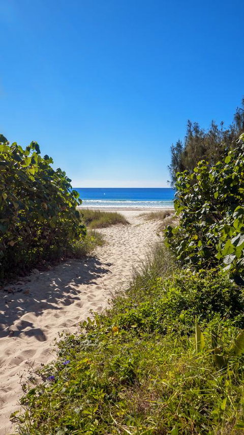 Bilinga Beach Motel - Tourism Canberra 26