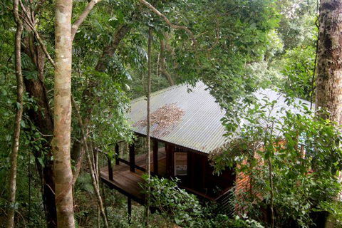 Cairns Rainforest Retreat - Tourism Canberra 0