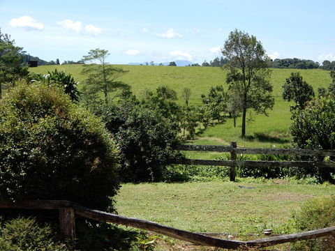Malanda Manor Guesthouse - Tourism Canberra 17