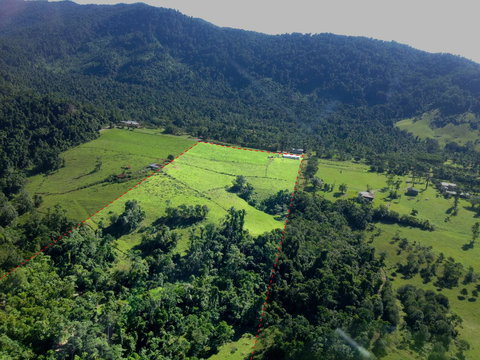 Misty Mountains Rainforest Retreat - Tourism Canberra 33