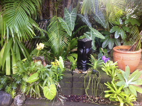 Bluewater Bed & Breakfast Cairns - Tourism Canberra 16