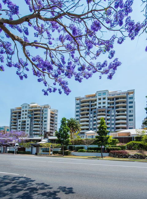 The Oasis Apartments - Tourism Canberra 2